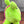 Load image into Gallery viewer, Sweet Unikaiju Babee Plush by Fat Rabbit Farm
