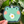 Load image into Gallery viewer, Cute Frog w/ Fried Egg Vinyl Sticker by Fat Rabbit Farm
